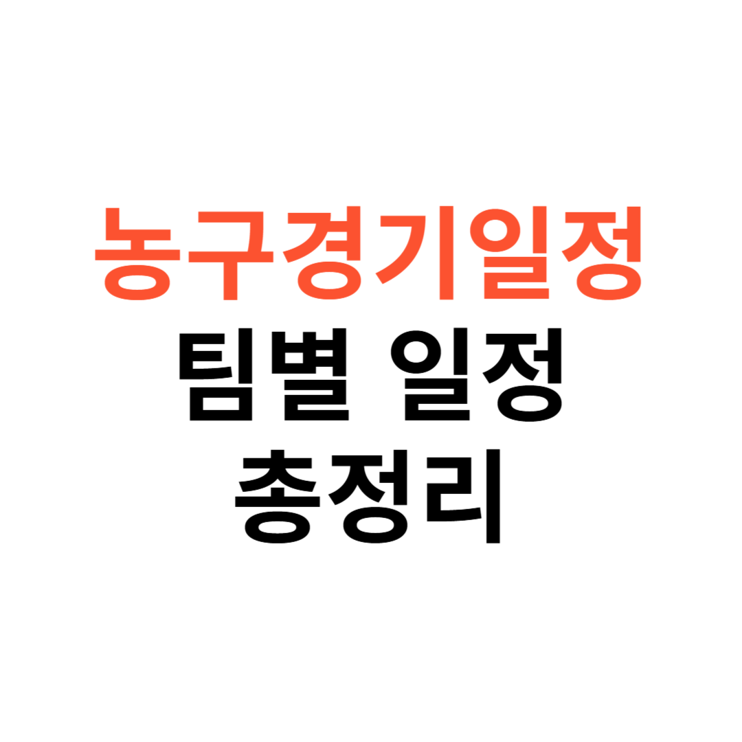 농구경기일정 및 팀별 일정