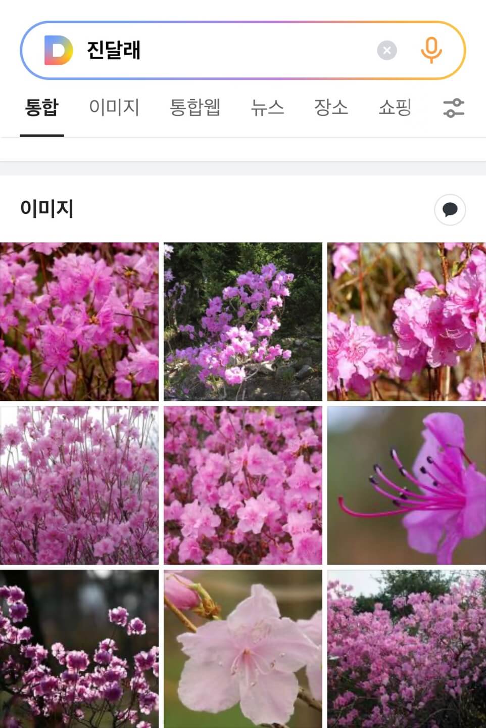 다음 꽃검색