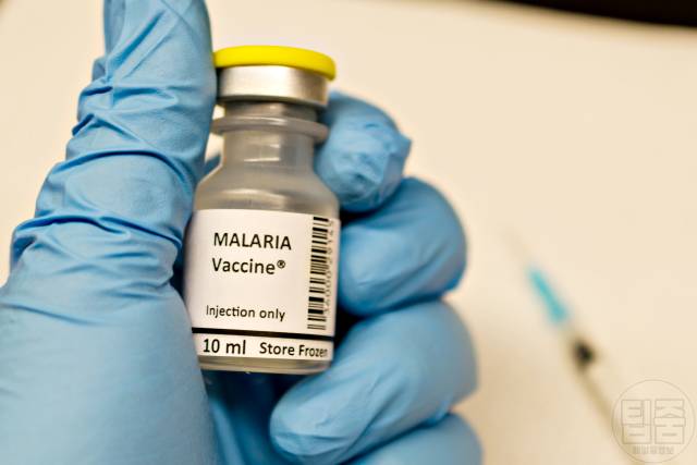 말라리아 증상 원인 말라리아 모기 물린 자국 말라리아치료제