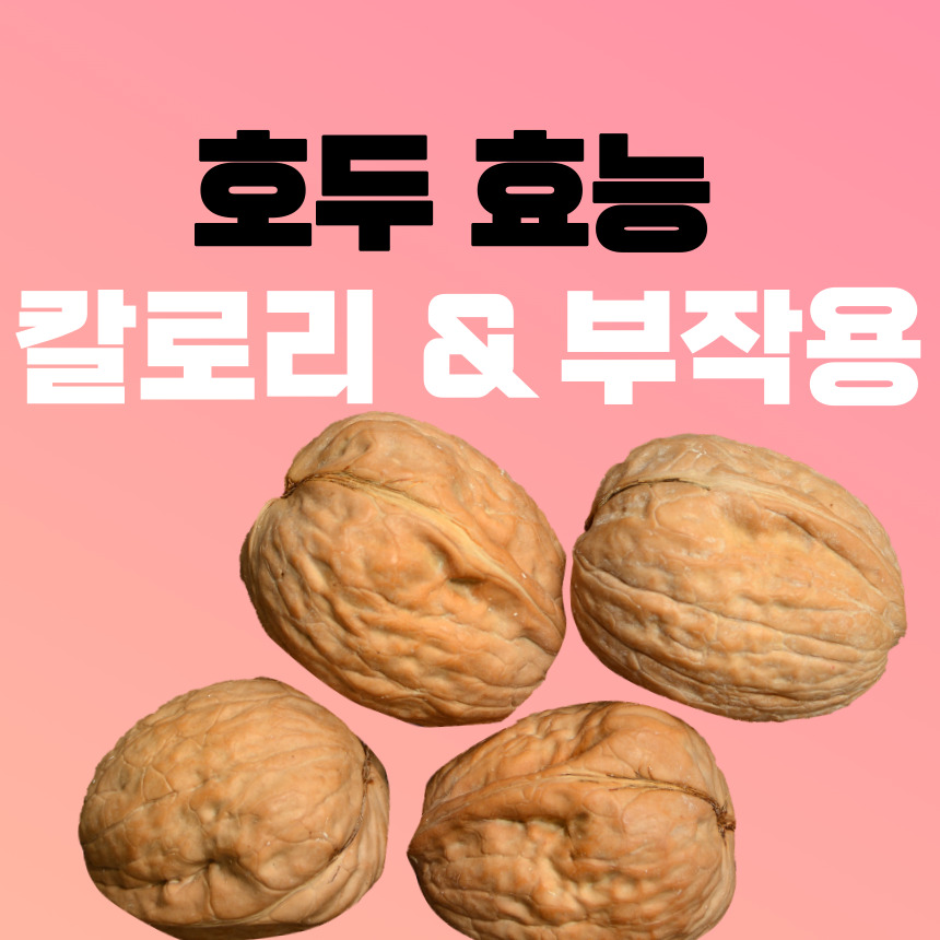 호두효능
