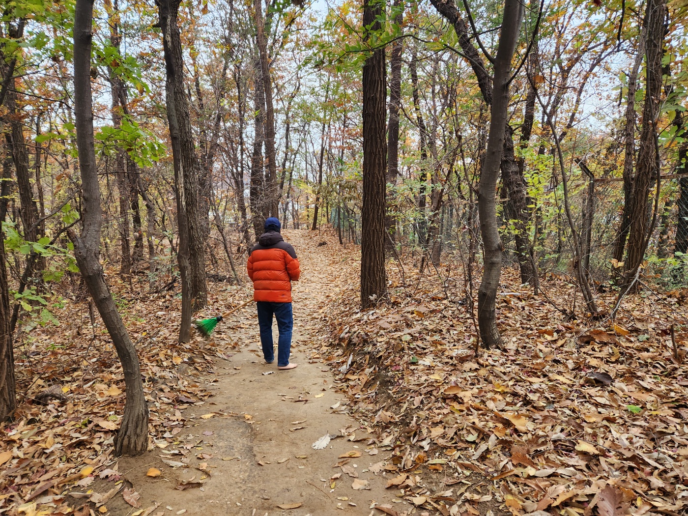 맨발걷기-산책길-맨발로-비질하는-50대-남자