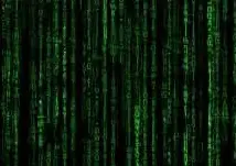 리박스쿨 댓글조작팀 자손군 실체 공개! 조직적 여론 조작, 지금 바로 확인해보세요.