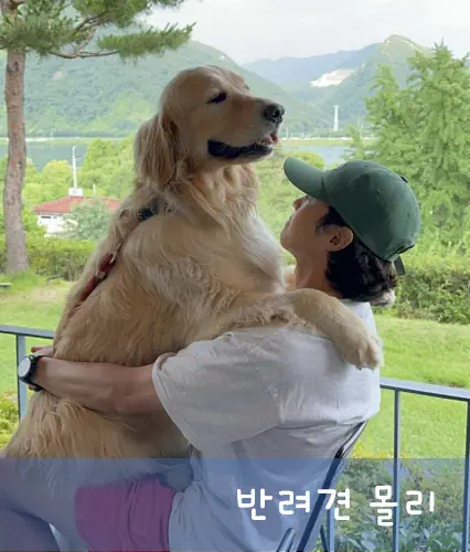 박은석 파양 논란 사과