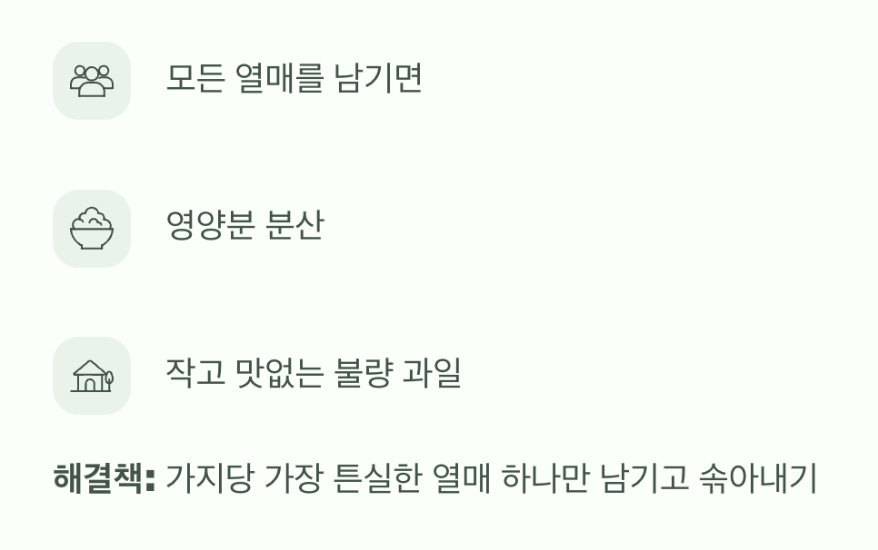 예쁜 아기를 위한 용기 있는 선택 (열매솎기)