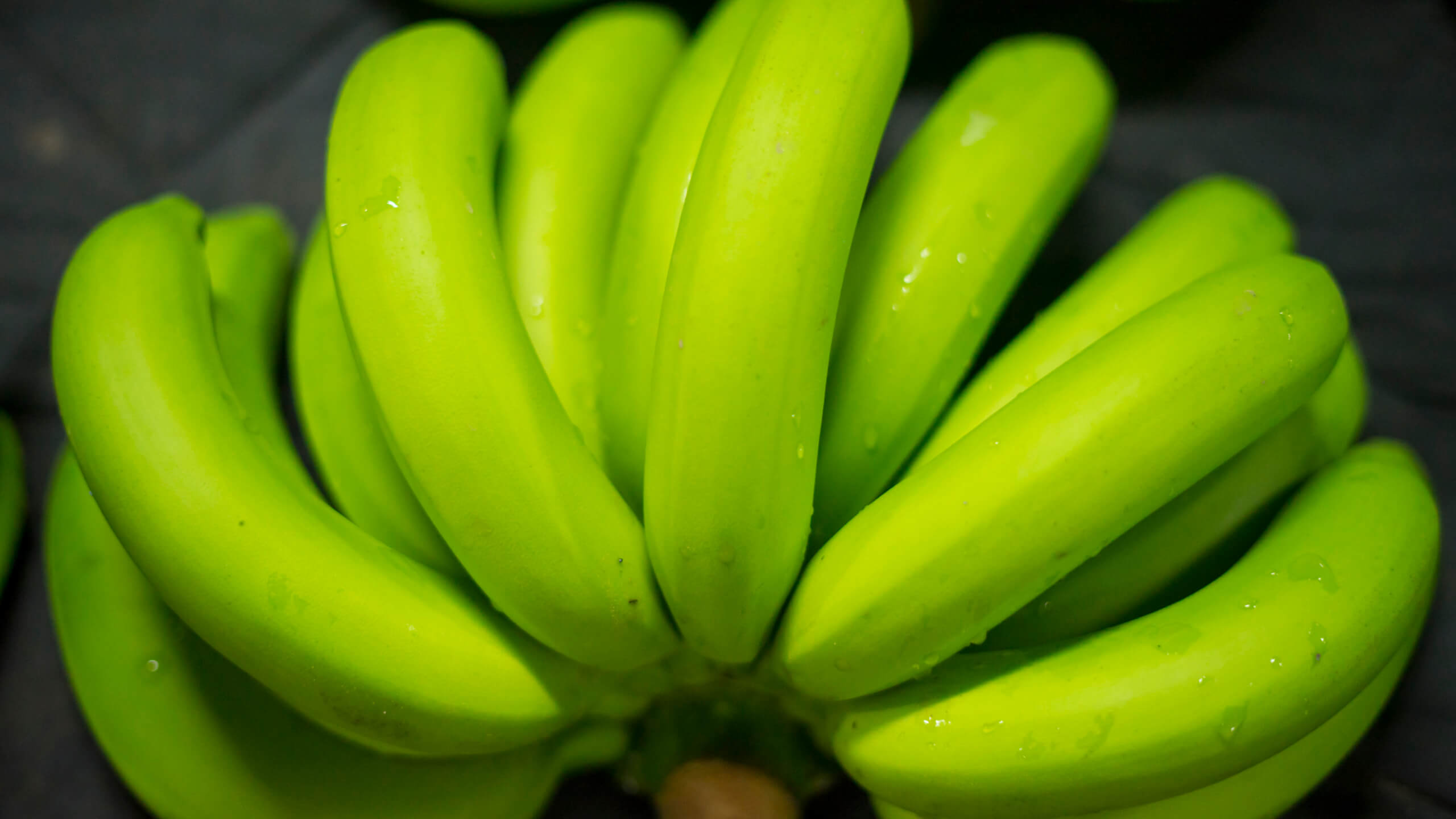 녹색 바나나 저항성 전분 다이어트 효능
