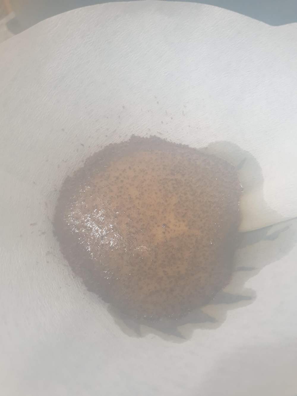 커피빵이 부풀어 오르고 있다. 필터지가 젖기 시작한다.