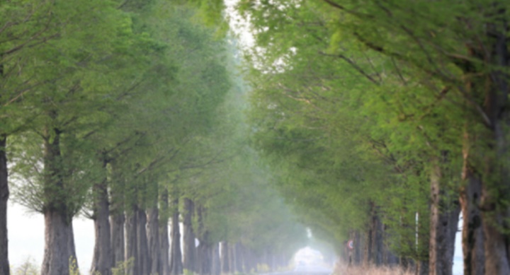 창원-가볼만한곳-사진