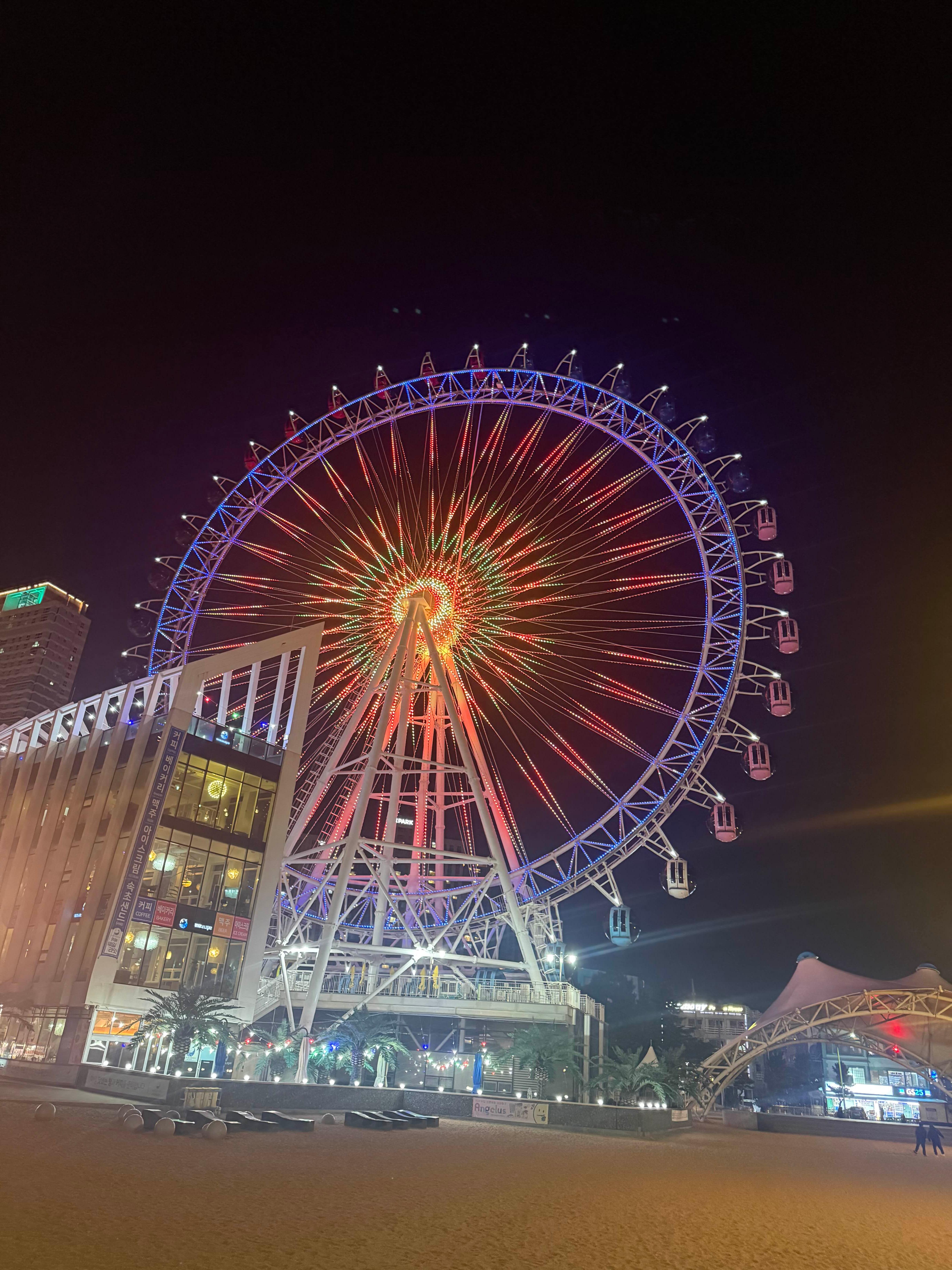 속초아이 대관람차 야경