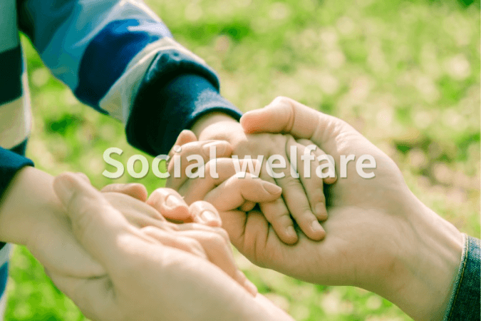 가정 입양 신청 방법