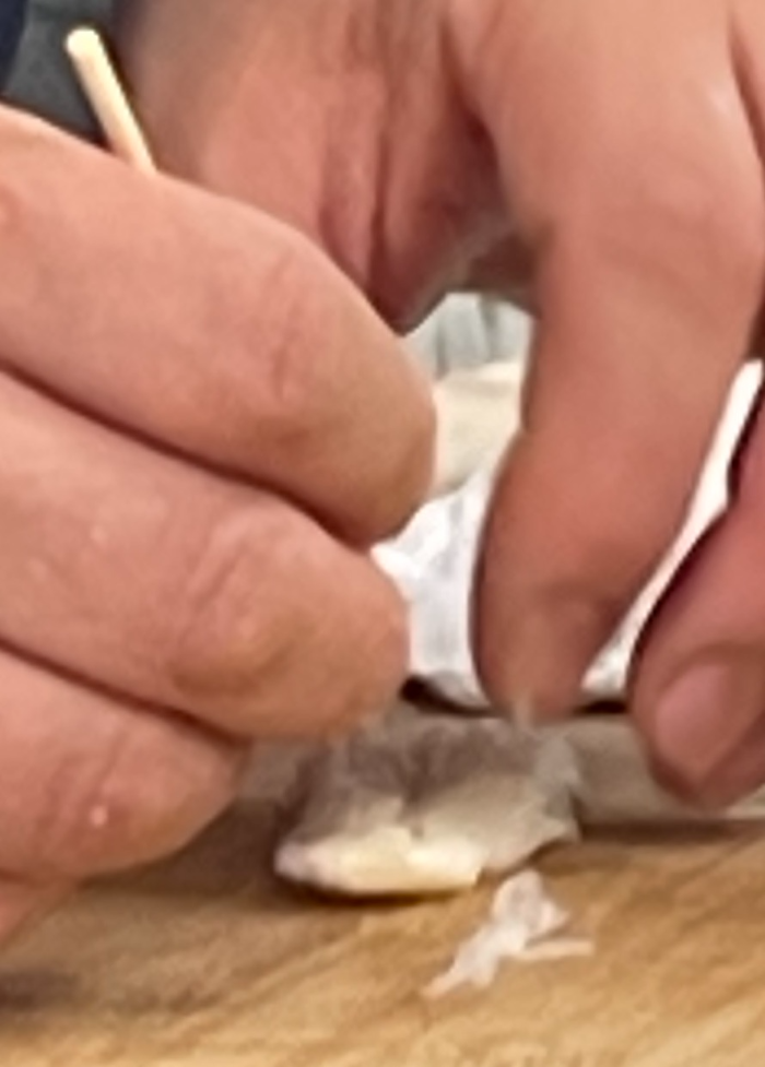 한식조리기능사 실기시험 준비 - 더덕생채 - 이쑤시개로 찢기