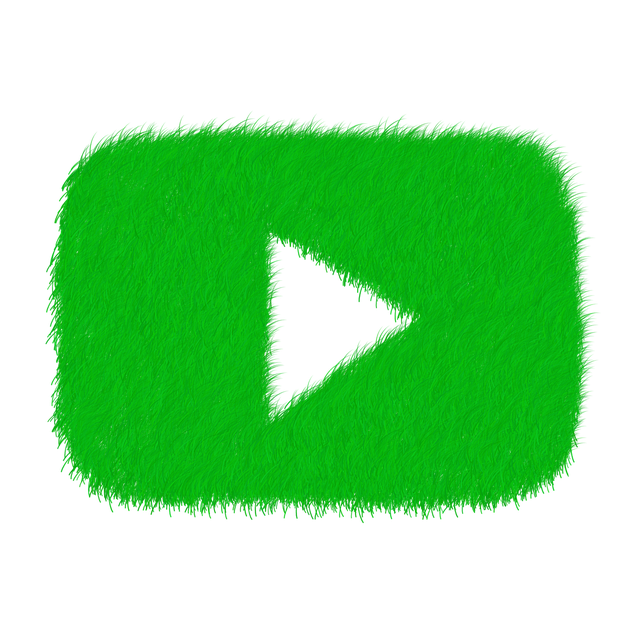 유튜브 다운로드