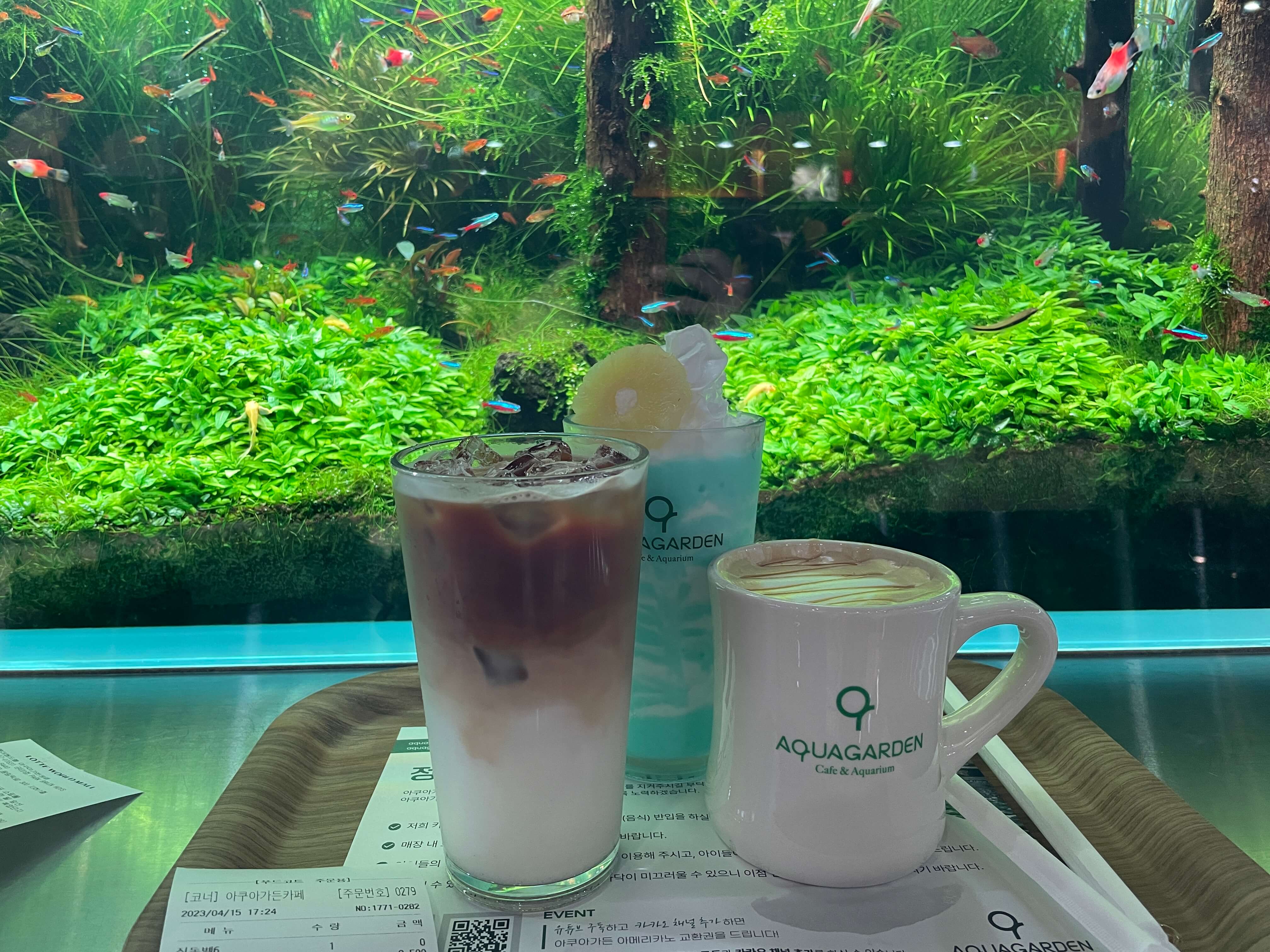 잠심-아쿠아가든