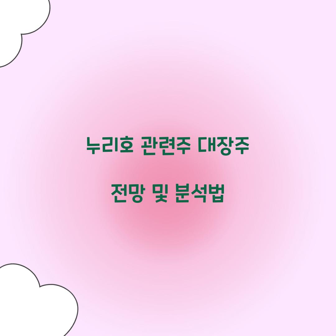 누리호 관련주 대장주 전망