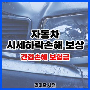 자동차 시세하락손해 보상