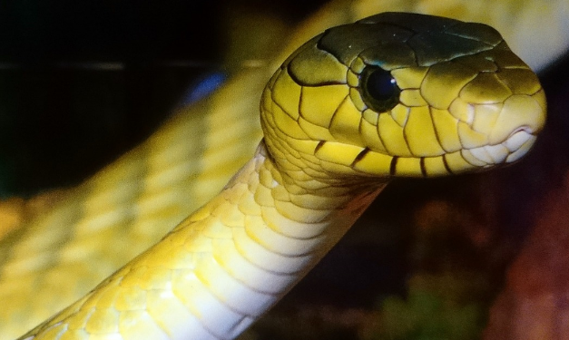 띠별운세 11월 3일