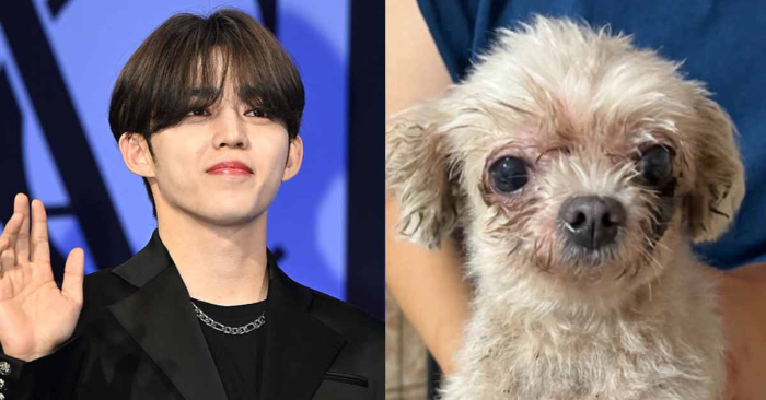 에스쿱스 번식장 구조견