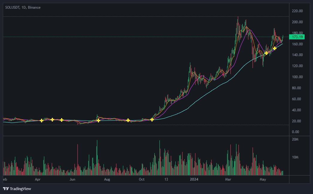 솔라나 코인 차트 분석