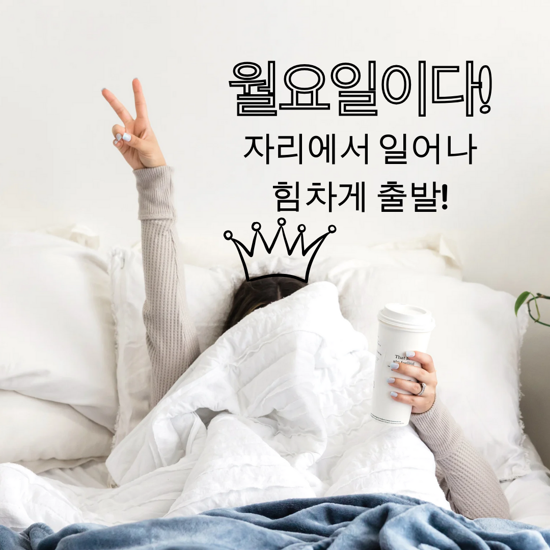 월요일 아침 인사말 이미지 문구 모음 글귀