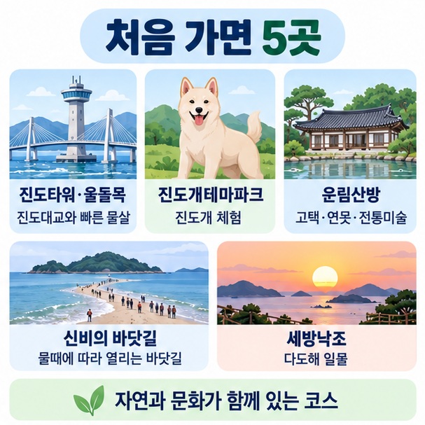 진도타워 진도개테마파크 운림산방 신비의 바닷길 세방낙조 추천지 인포그래픽