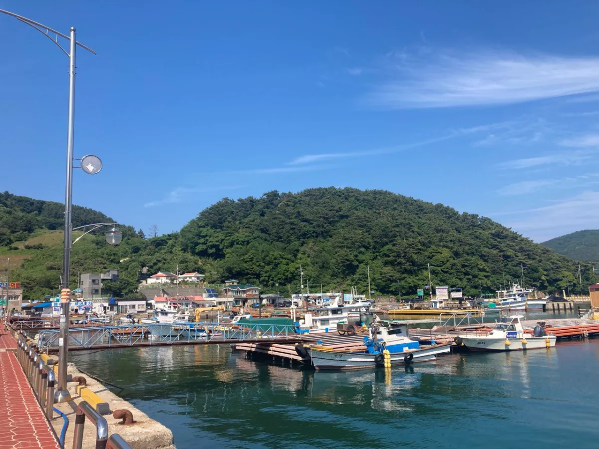 통영-욕지도-항구모습-항구에떠있는배들-푸른산-길게이어진바닷길