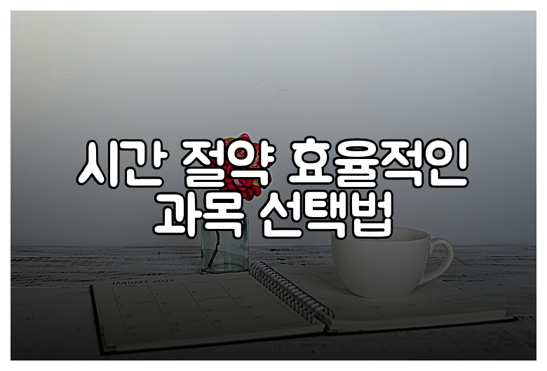 시간 절약 효율적인 과목 선택법
