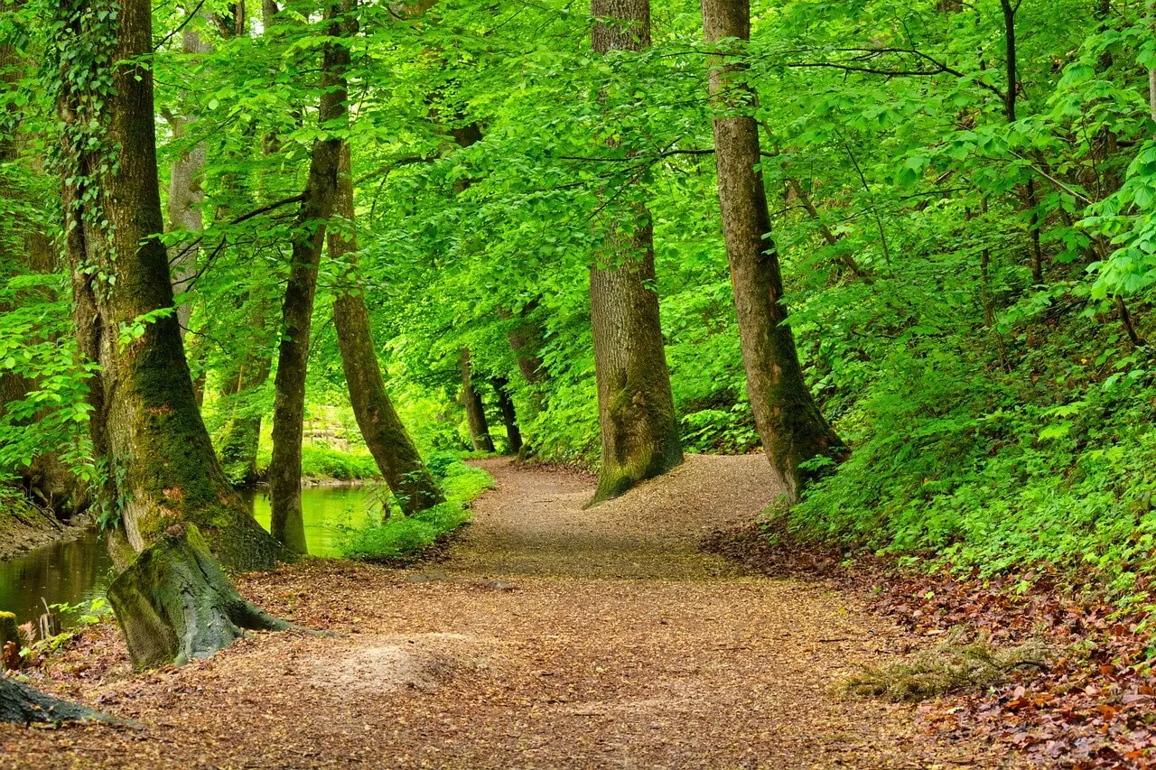 숲나들e 취소표 알림 &amp; 잔여석 대기&amp;#44; 고수들의 예약 비법 