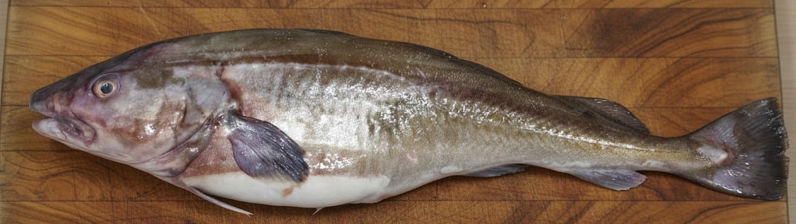 나무재질의 넓은 접시 위에 놓여 있는 신선한 대구 한 마리.