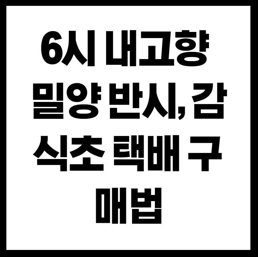 6시 내고향 밀양 반시와 감식초, 택배로 구매하는 가장 쉬운 방법