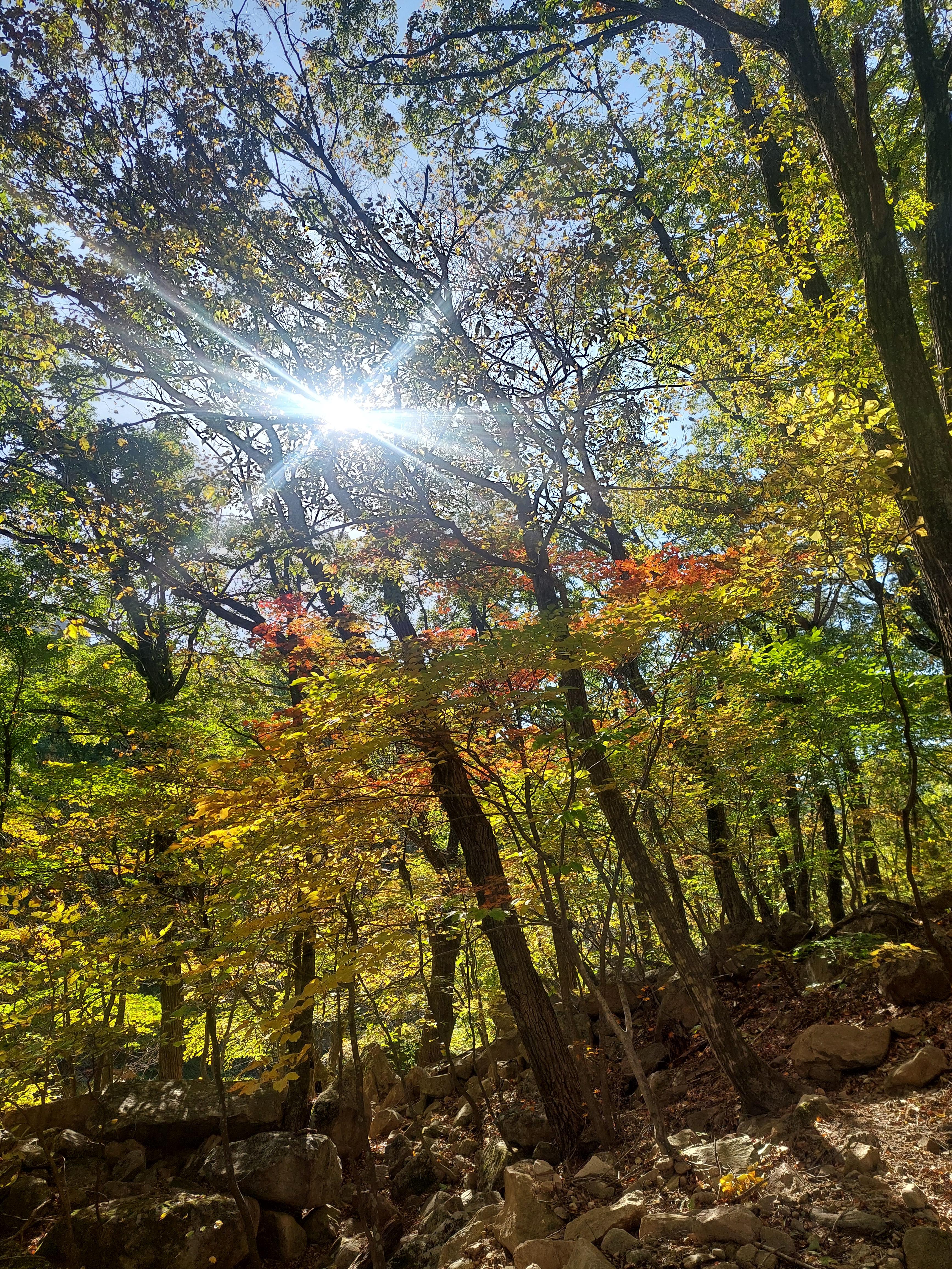 설악산