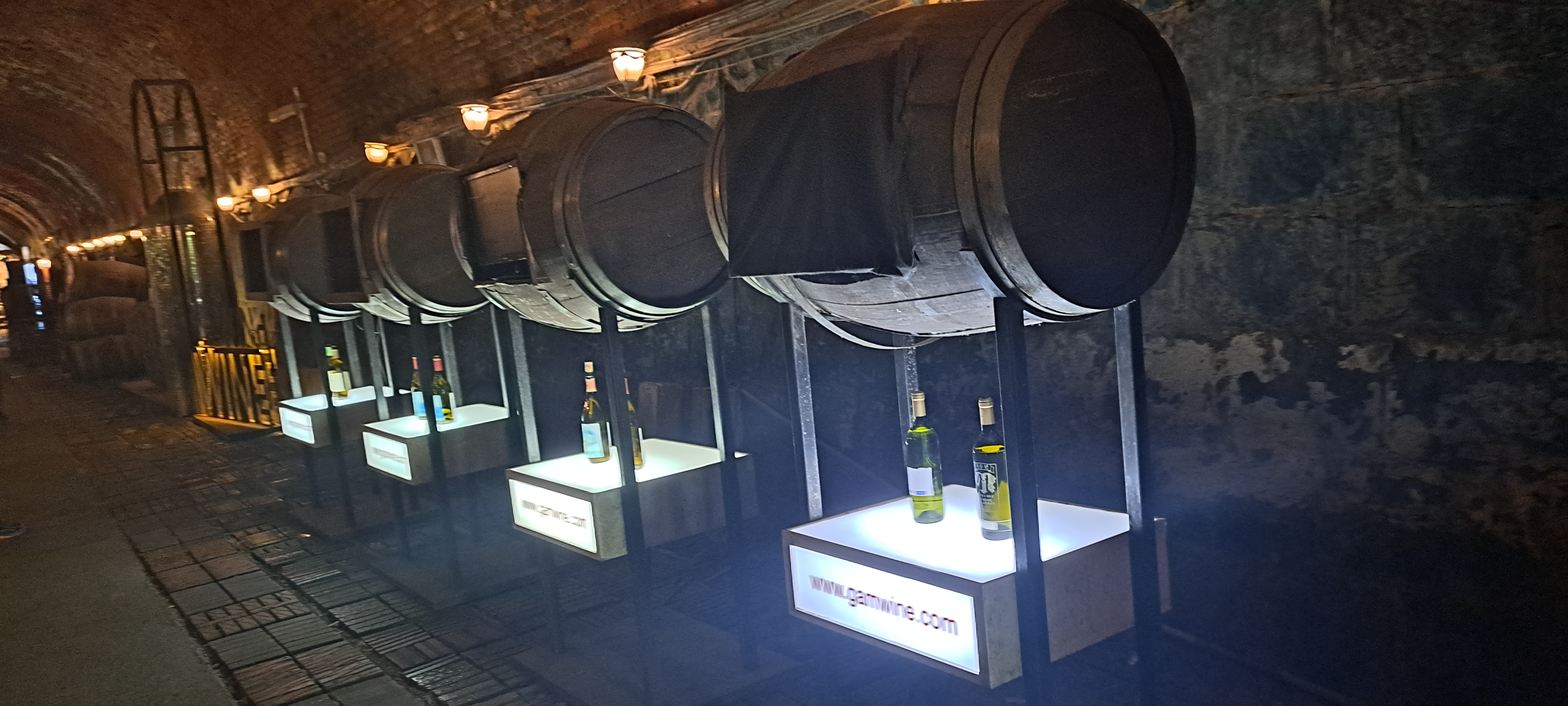 청도 와인터널 이미지