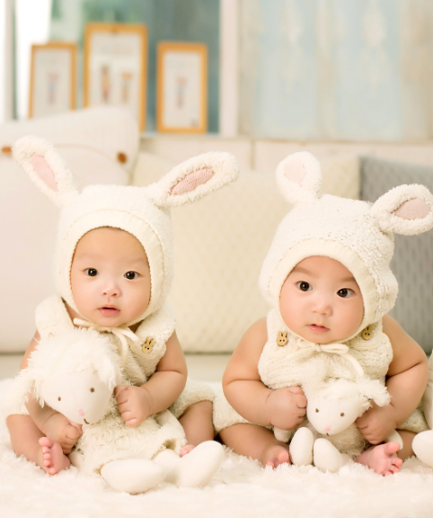쌍둥이 육아 현실