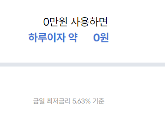 300만원 대출