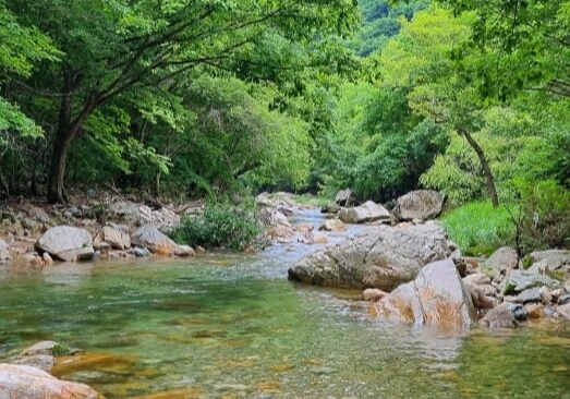 양평 가볼만한곳 베스트 10