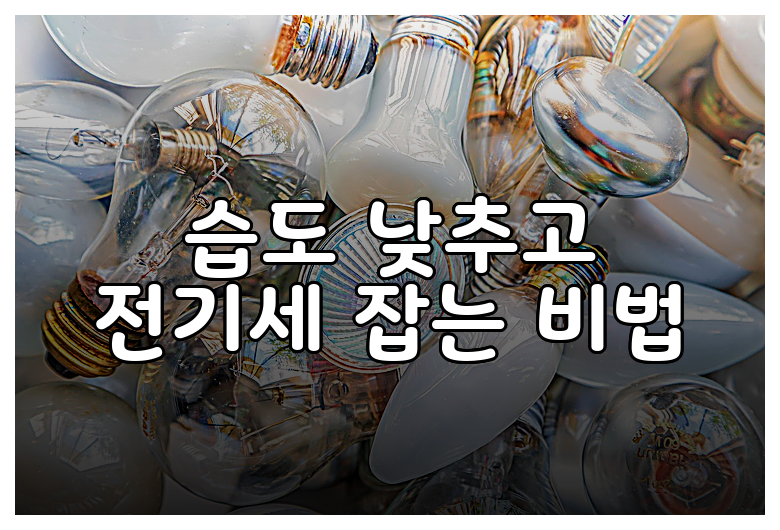 습도 낮추고 전기세 잡는 비법