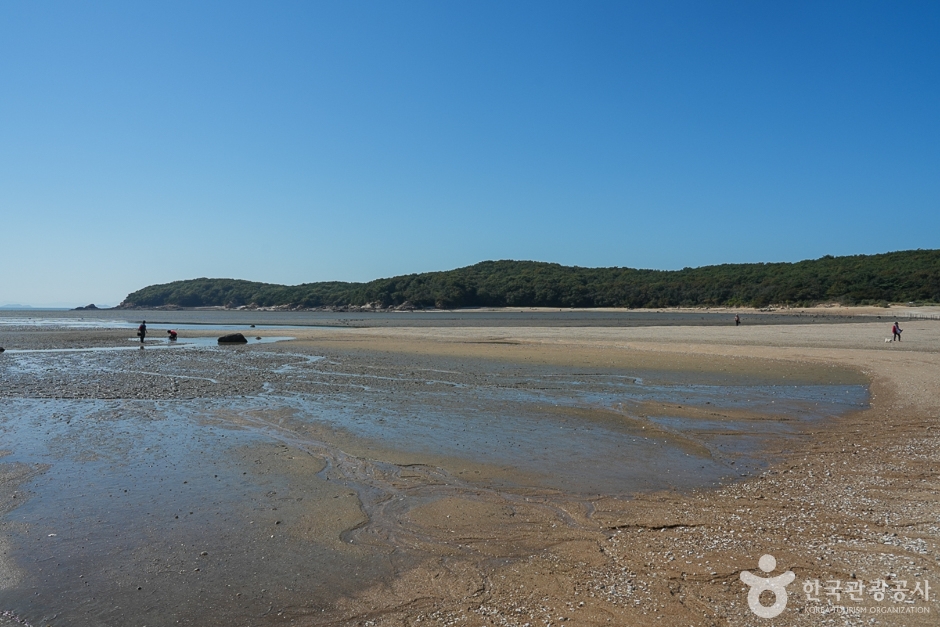 서해안 물때 시간표