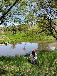 황매산 군립공원 소개 사진 이미지