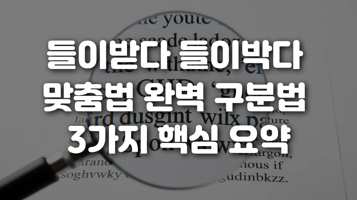 들이받다 들이박다 맞춤법 완벽 구분법 3가지 핵심 요약