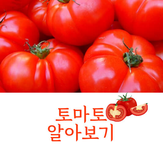 토마토