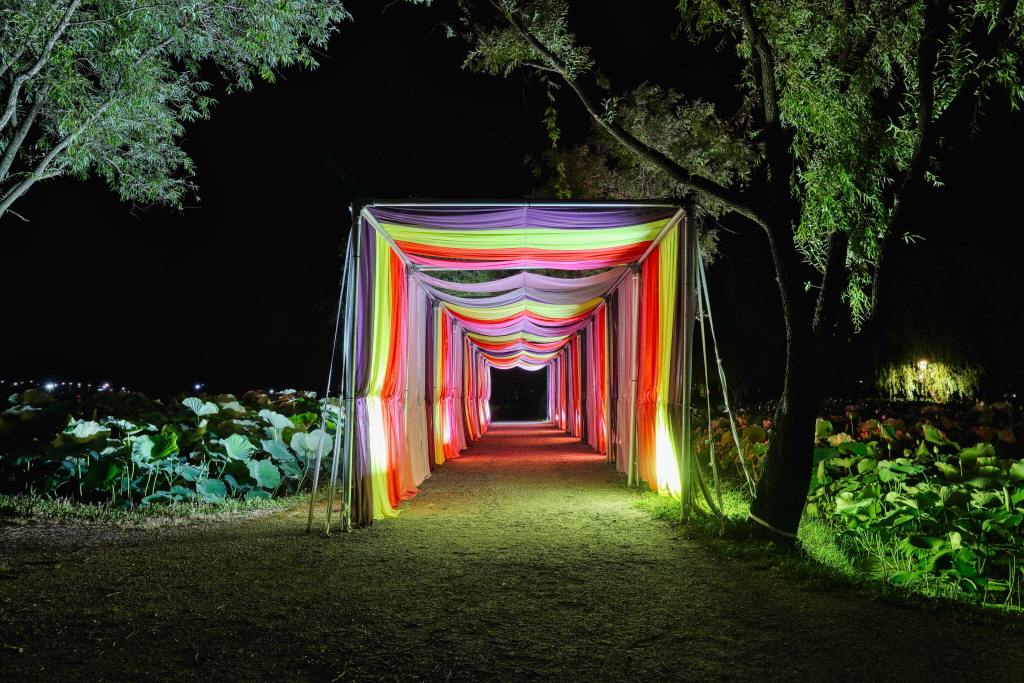 제22회 부여서동연꽃축제 KBS 찾아가는음악회 기본일정과 음악회 들 소개 진성 박상철 강혜연 박서진 김의영 이라희 여행스케치 별사랑 민수현 윤수현 이영현(빅마마) 박지현 벤 비오 candy shop 출연