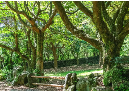 5월제주도 가볼만한곳