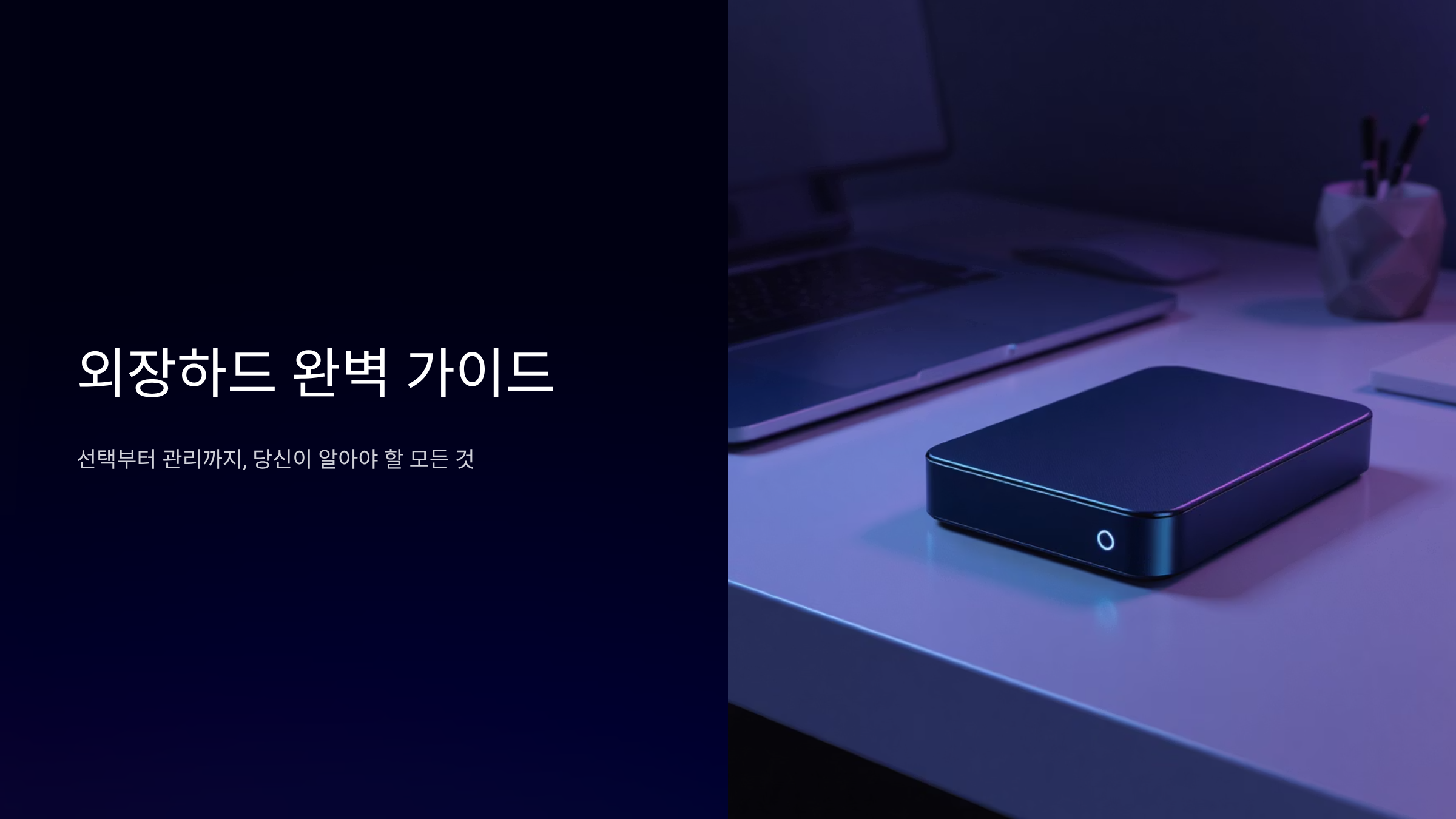 외장하드 완벽 가이드 2025