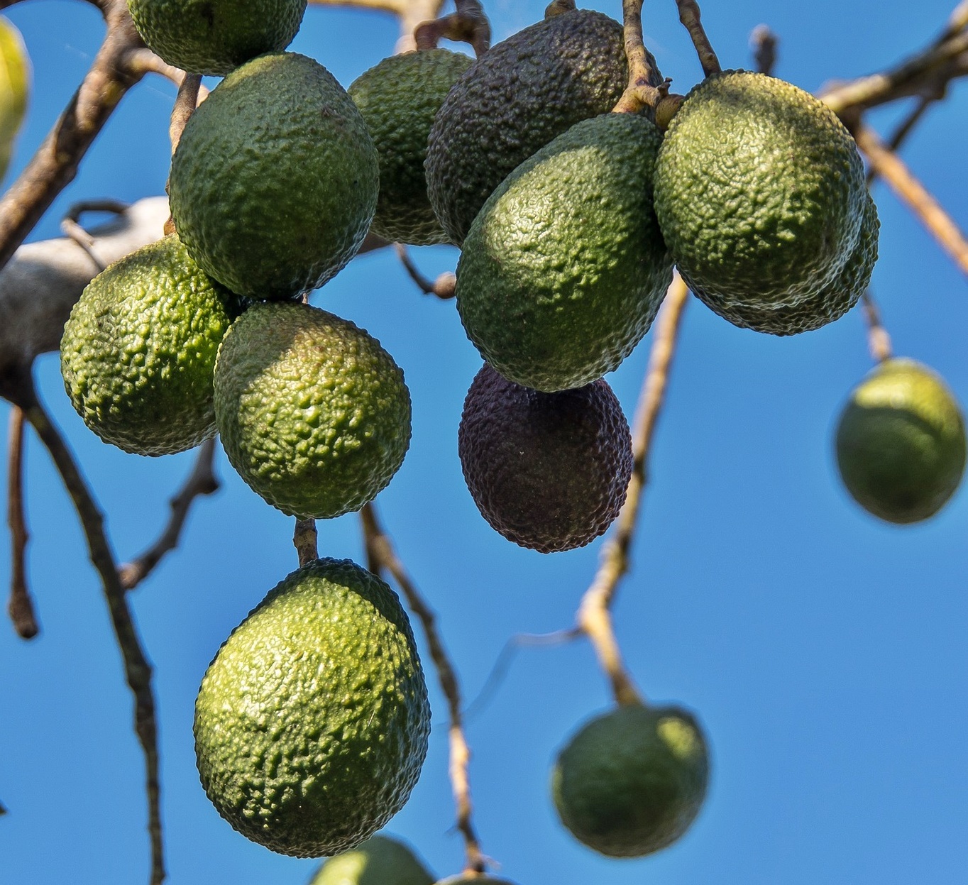 치매는 유전이 아니라 생활습관이었다