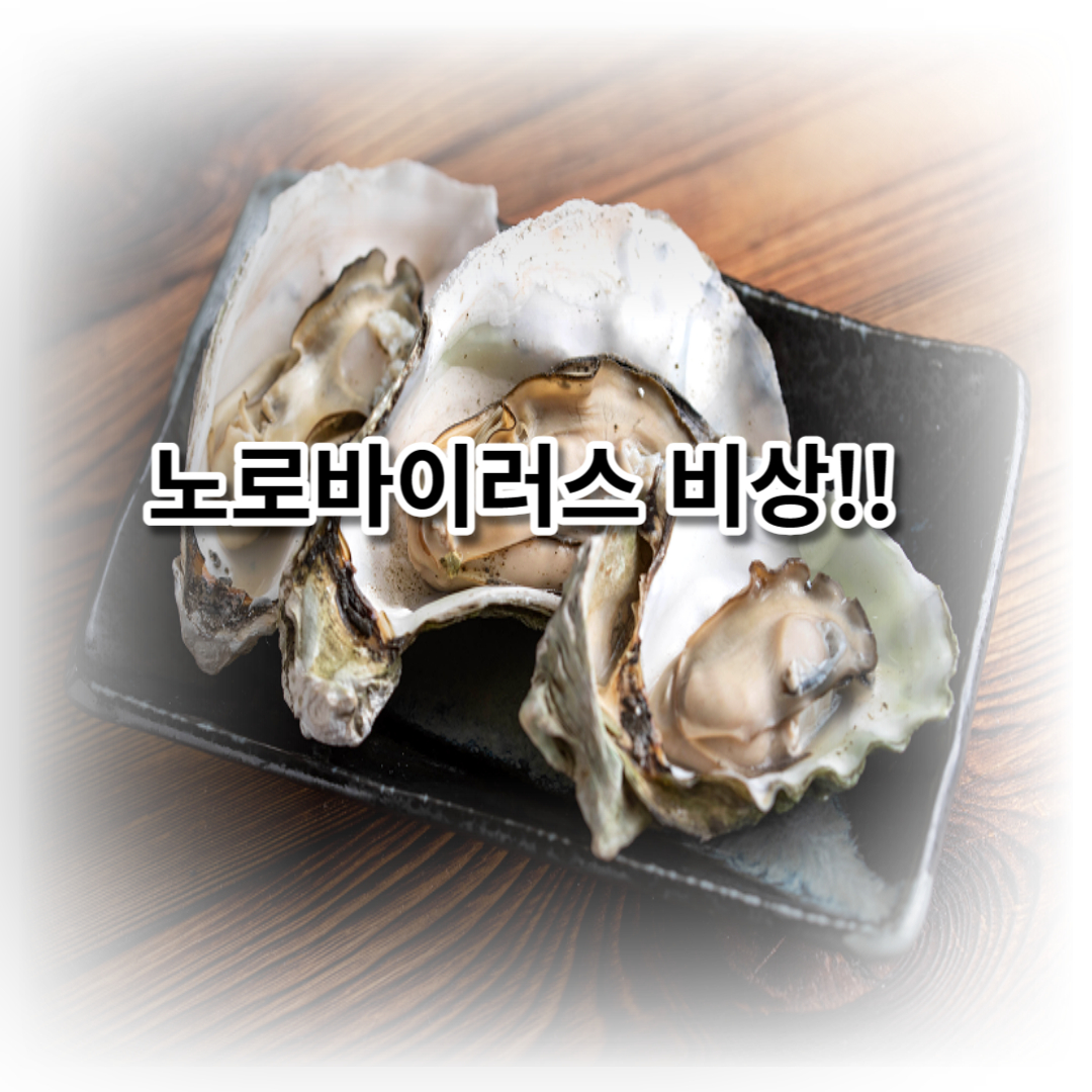 노로바이러스비상