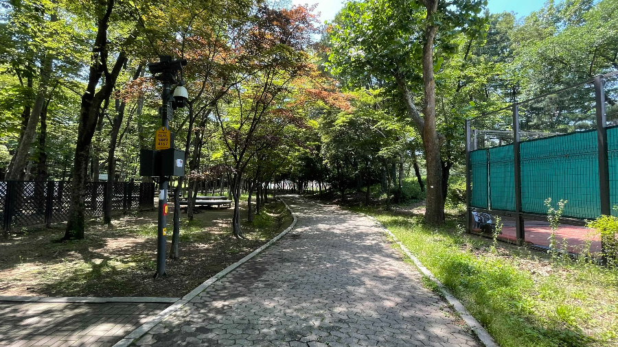 양재(매헌)시민의 숲 나들이 테니스코트