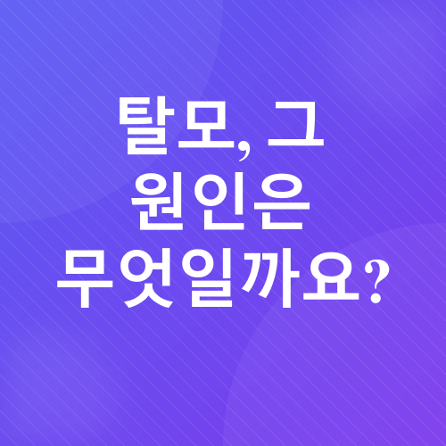 탈모 관리_2