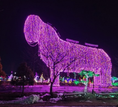 365일 빛축제 가을에 꼭 가봐야할 빛축제 BEST 5