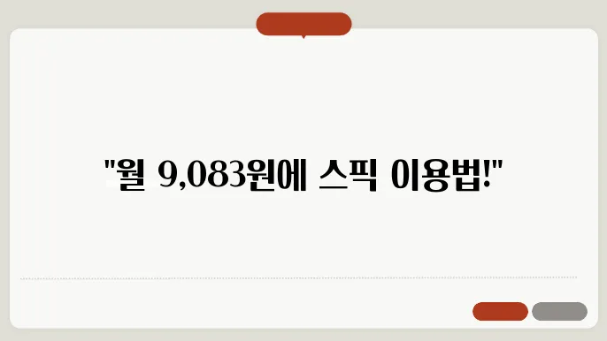 스픽 최저가 월 9,083원 결제하는 법