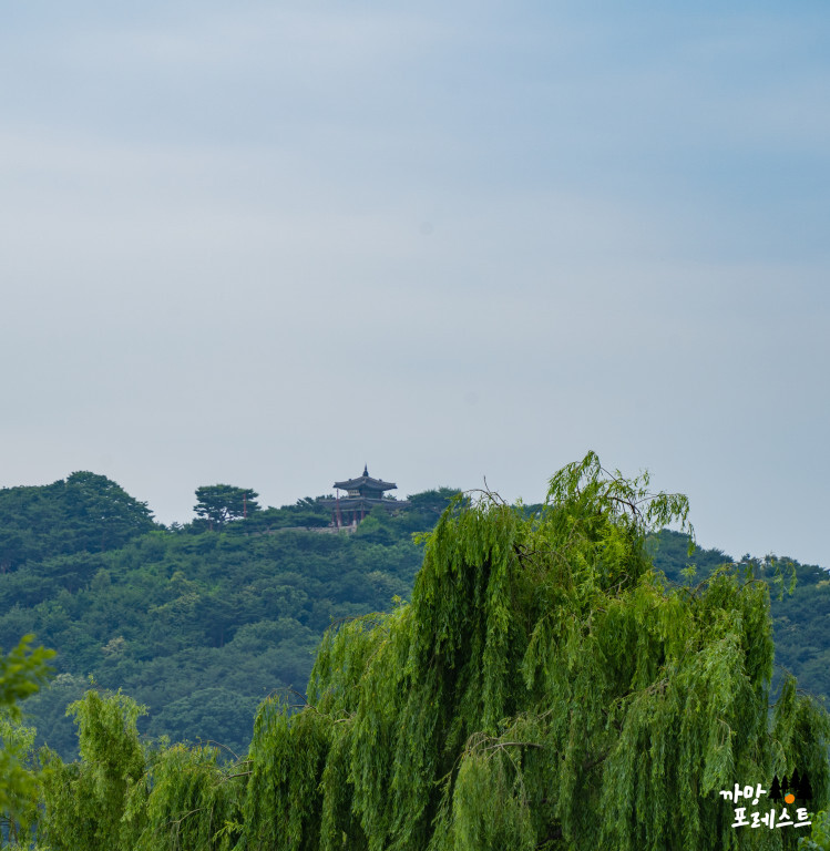 사맛디 커피실록 팔달산