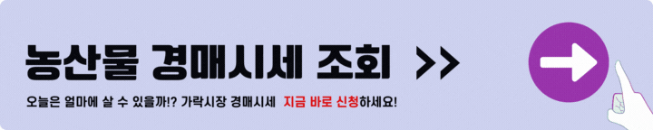농산물 경매가격 실시간 확인