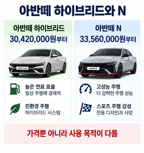 아반떼 하이브리드 3042만원부터와 아반떼 N 3356만원부터의 성격과 가격 차이를 비교한 이미지